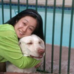 Reiki for animals is a natural, spiritual, and alternative way to heal for your animals